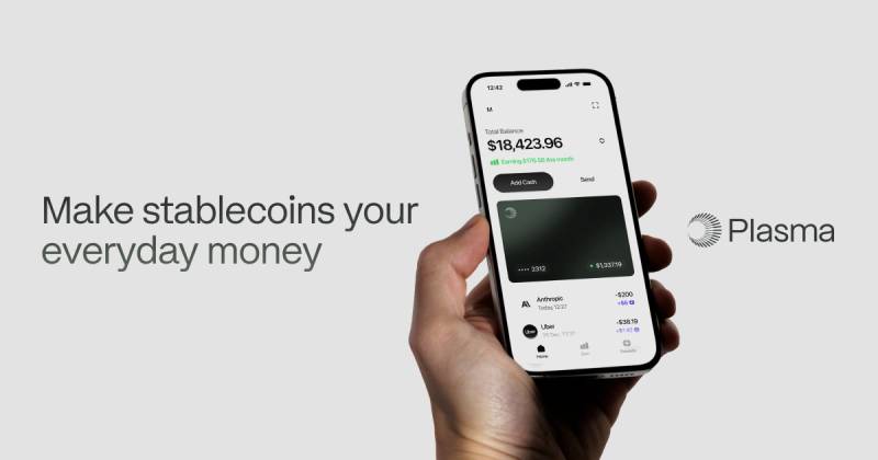 Plasma stablecoin settlement network